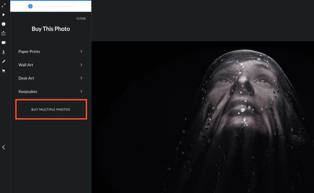 Buy Multiple Photos button in cart