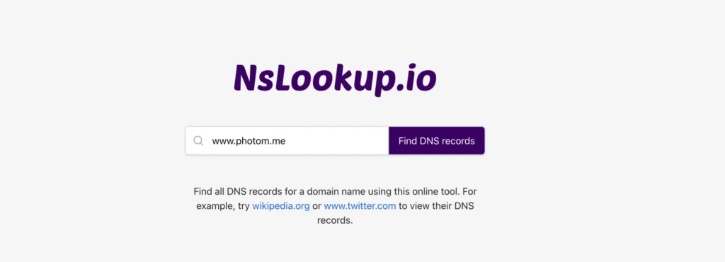 NSLOOKUP search interface
