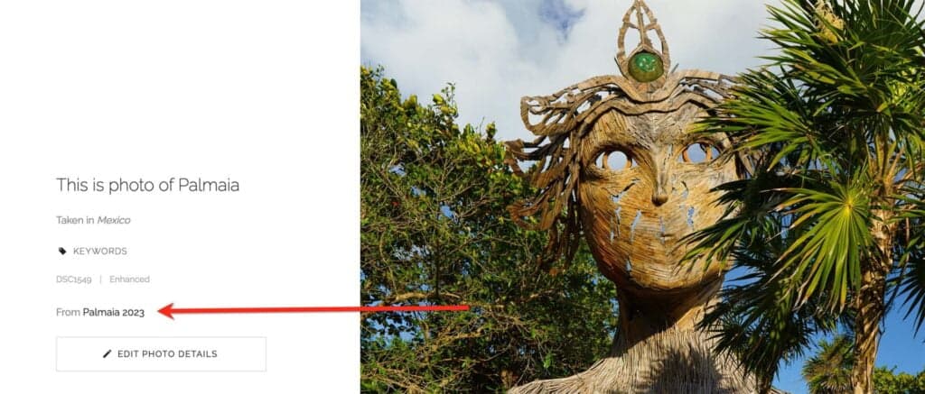 Source gallery link on collected photos