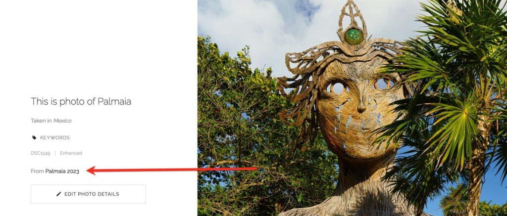 Source gallery link on collected photos